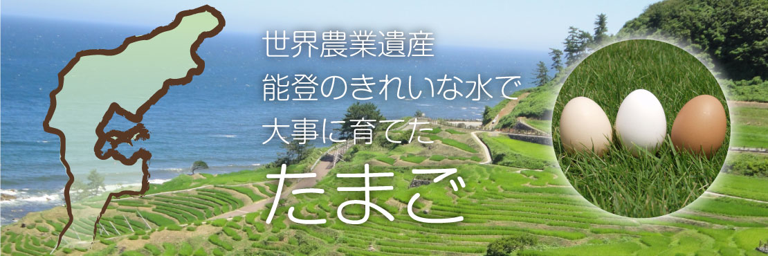 世界農業遺産能登のきれいな水で大事に育てたたまご